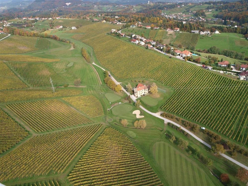 Škalce - naravna galerija vinogradov